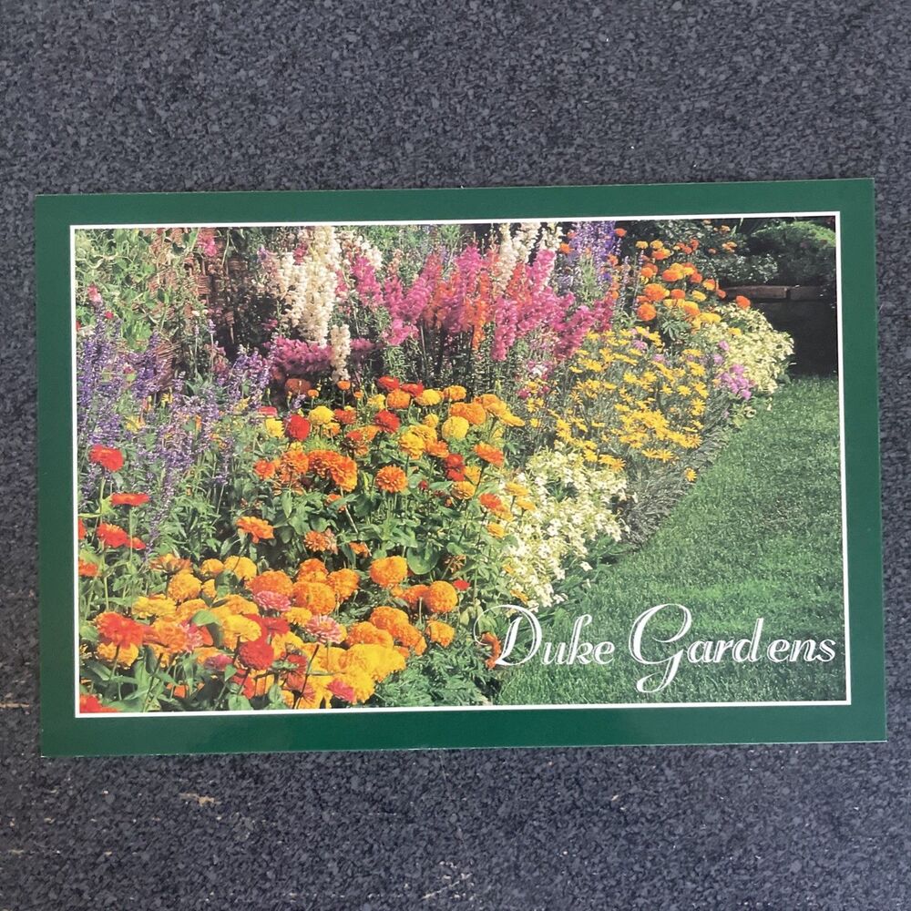 Postcard New Jersey Somerville Duke Gardens English Border Garden Unused